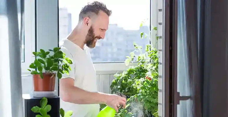 Plantas para apartamento: tudo que precisa saber