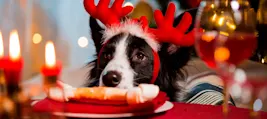 Cardápio de Natal: Ideias para Celebrar