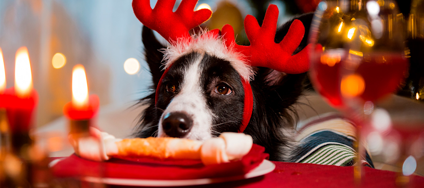 Cardápio de Natal: Ideias para Celebrar
