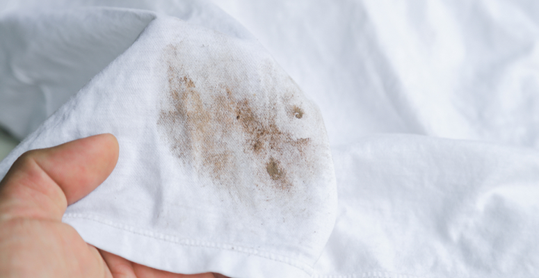 shutterstock_1523138336