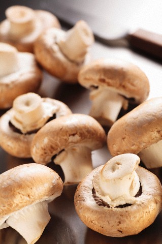 Cogumelos