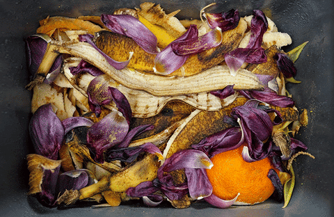 Composteira com produtos orgânicos dentro e os textos: Frutas. Legumes. Verduras. Grãos. Sementes.