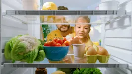 Geladeira econômica: como escolher a melhor opção?