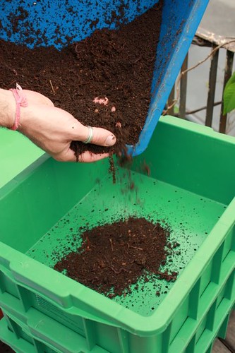 Transforme o lixo da cozinha em adubo para plantas