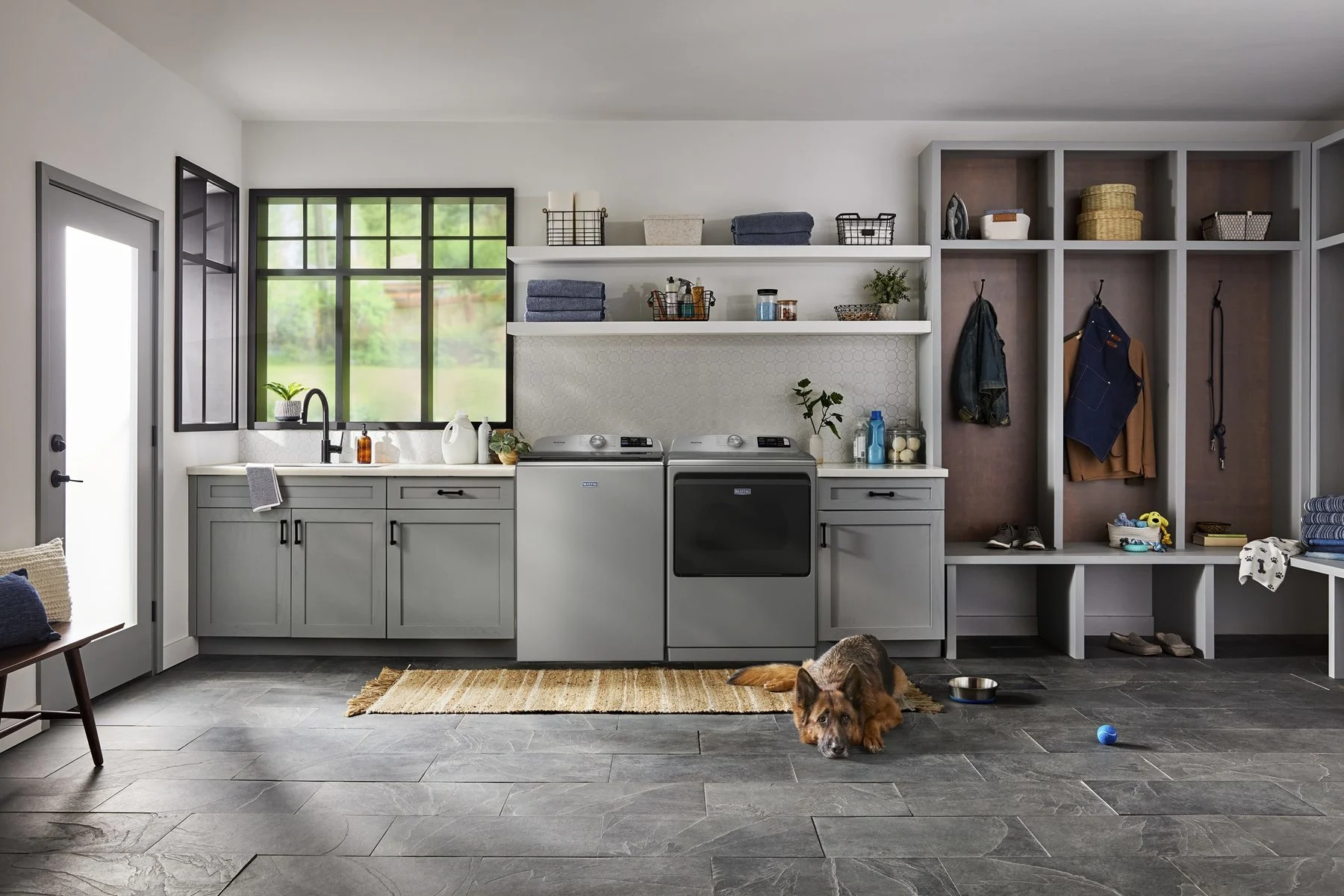 Cuarto de lavado Maytag con perro