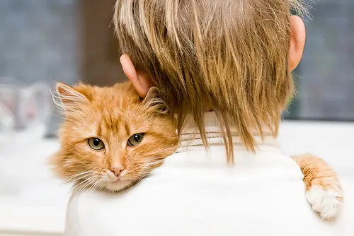 Animais de estimação e alergias: como cuidar?