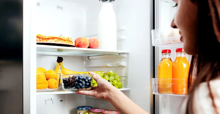 Vida útil da geladeira: como maximizar a durabilidade do seu produto.