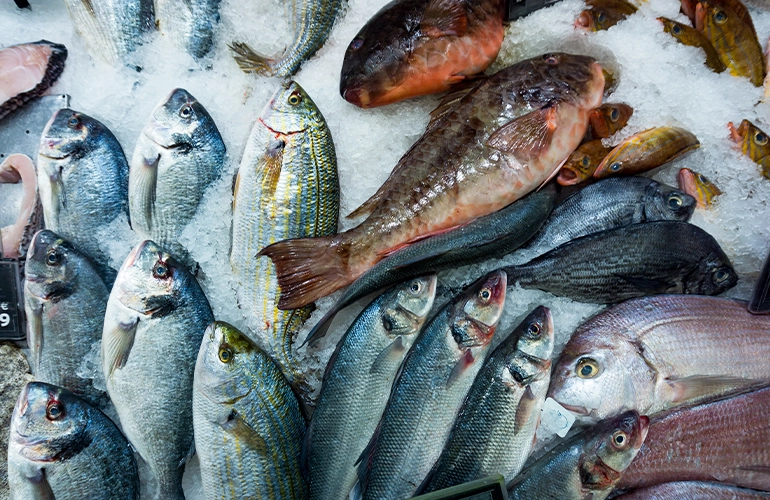 comprar peixes