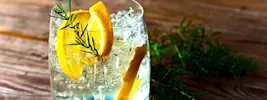 Como fazer Gin Tônica? Quais ervas e especiarias usar!