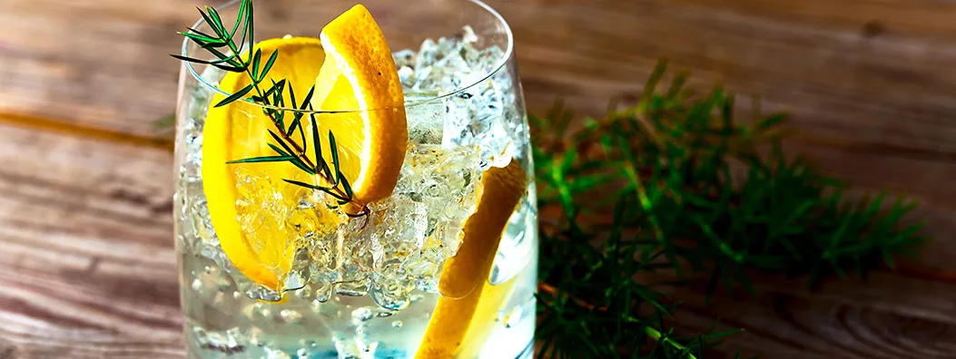 Como fazer Gin Tônica? Quais ervas e especiarias usar!