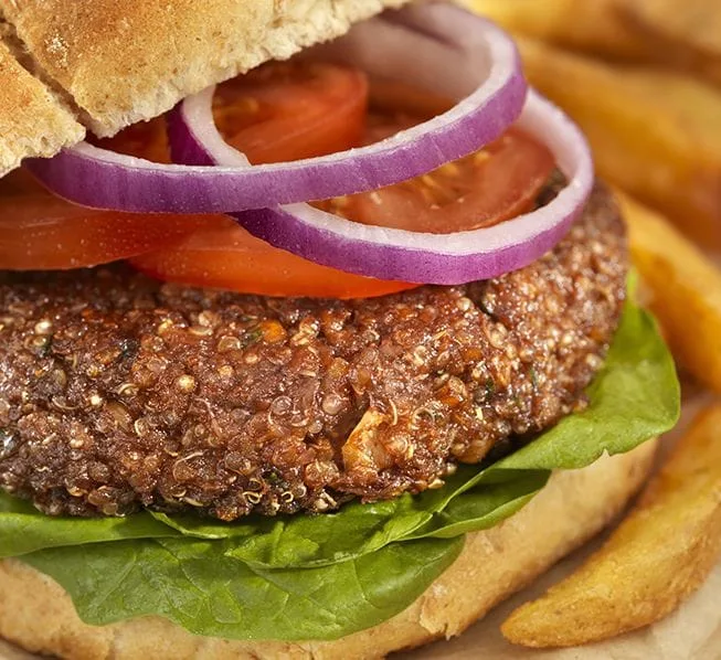 receitas veganas