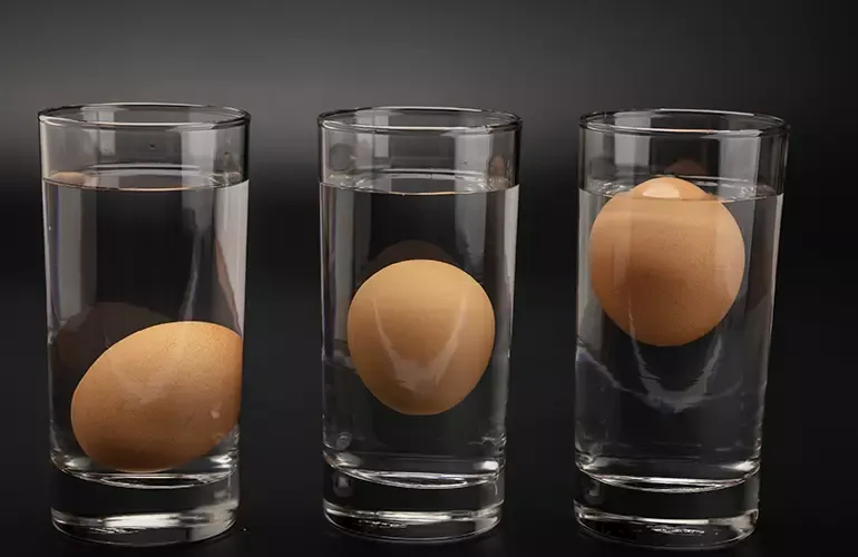 como saber se o ovo está bom para consumo teste