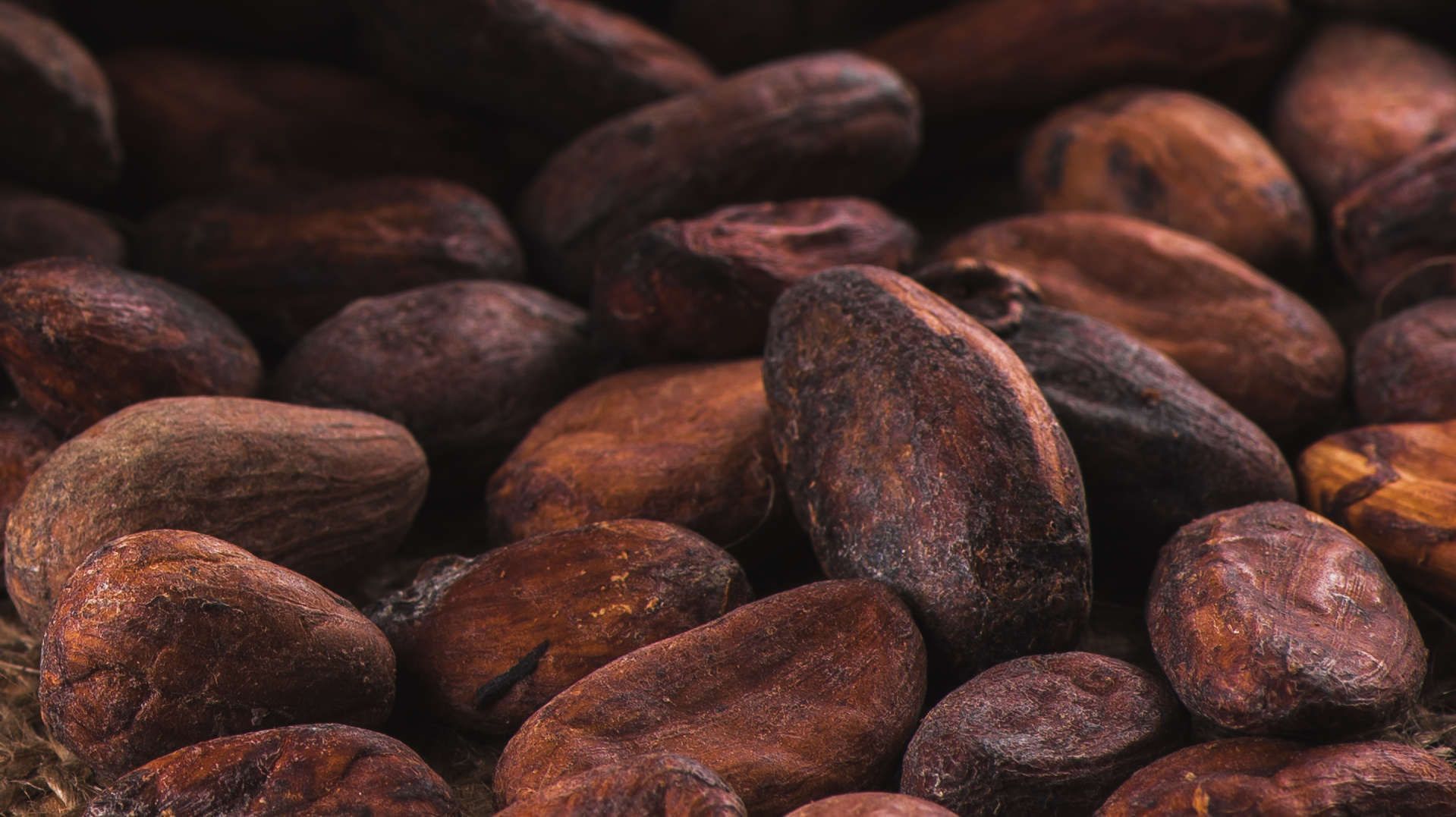 Do cacau ao chocolate