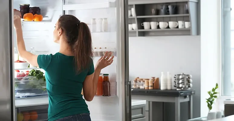 melhor marca de geladeira 