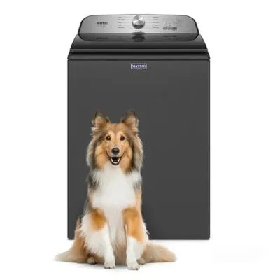 Lavadora Pet Pro