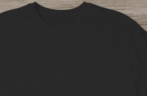 Aprenda a como tirar pelos das roupas