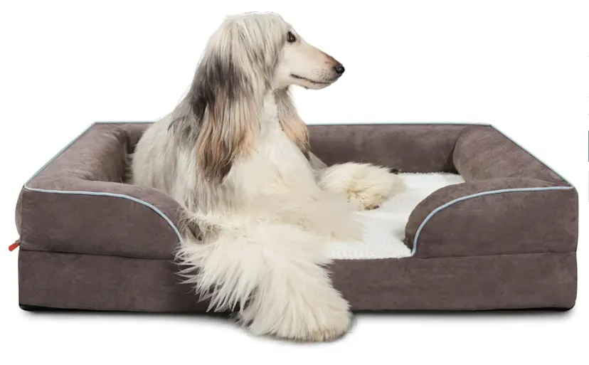 Laifug Orthopedic Memory Foam Dog Bed: Hands-On 2026 Review
