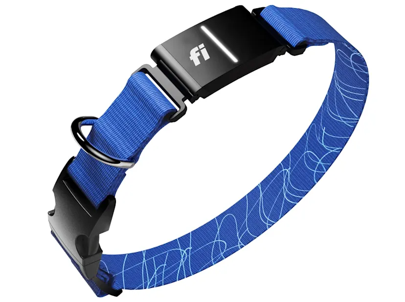 Fi Series 3 Smart Dog Collar Review: Real-World Peace of Mind in 2026