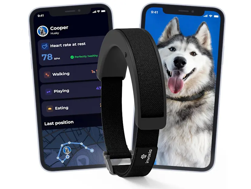 Invoxia Smart Dog Collar Review (2026)
