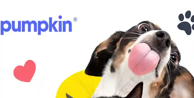 Pumpkin Pet Insurance Review: Comprehensive Coverage for Your Furry Friend?