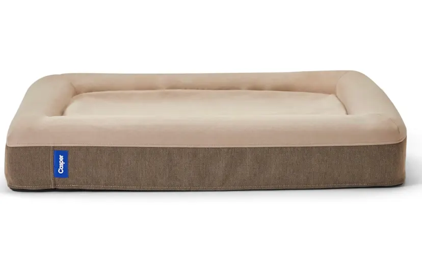 Casper Dog Bed Review 2026: A Cozy, Supportive Upgrade for Your Pup