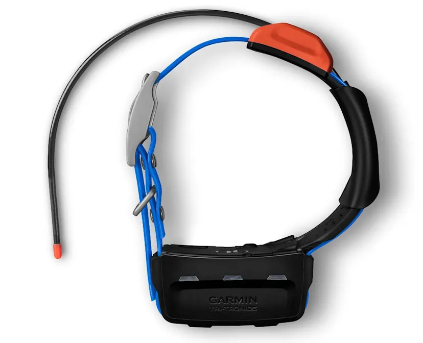 Garmin T5X Dog Device Review: Field-Tested Truth for 2026