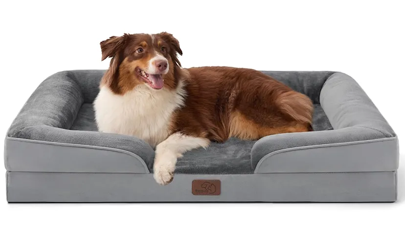 Bedsure Orthopedic Crate Mat Review: A Comfy Upgrade for 2026