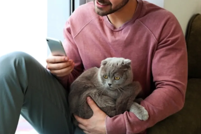 Nationwide Pet Insurance Reviews: Coverage, Costs & Our Verdict