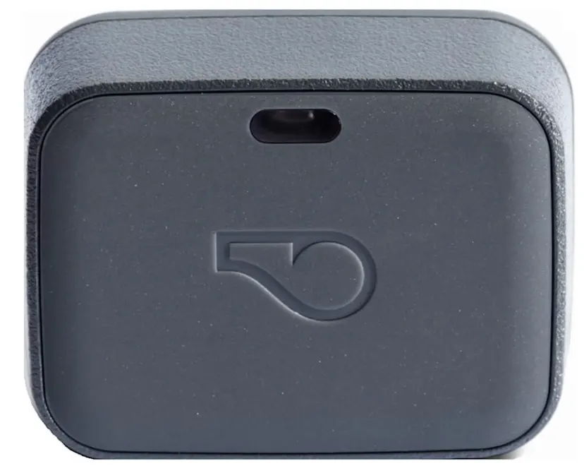 Whistle Go Explore 2.0 Review (2026)