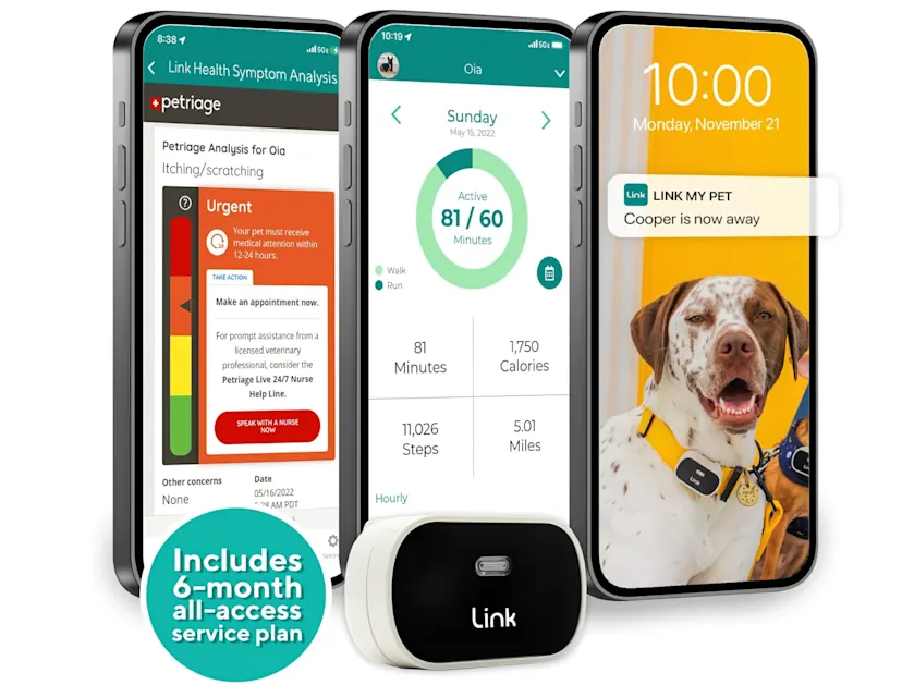 Link Smart Pet Wearable Review 2026: Worth It for Peace of Mind?