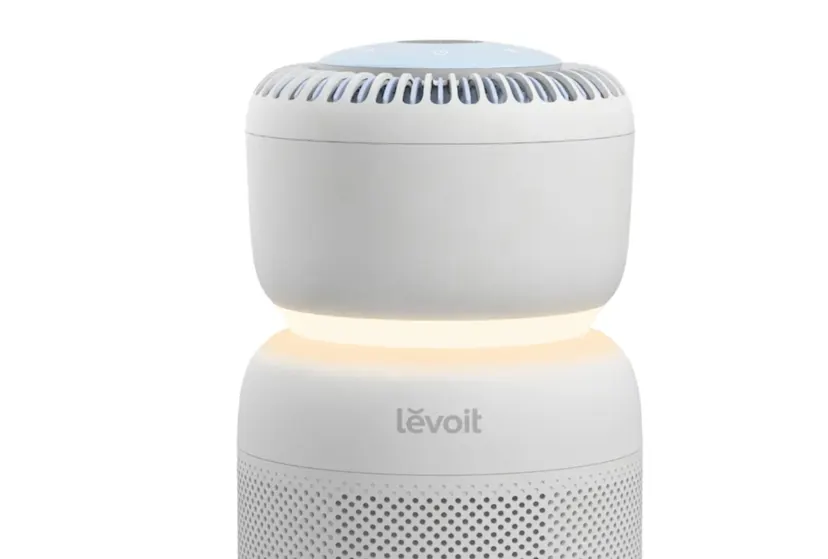 Levoit Sprout Humidifier Review (2025): A Smart Choice for Healthier Air