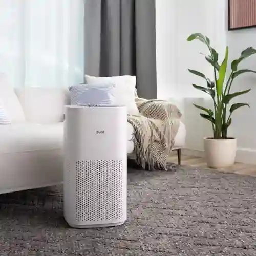Wyze Review: Smart Home Simplicity on a Budget