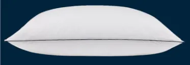 Pacific Coast Feather Hypoallergenic Pillow: 2025 Expert Review
