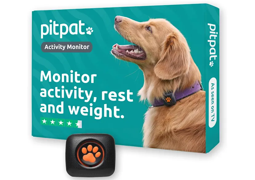 PitPat Dog Activity Monitor Review (2026)