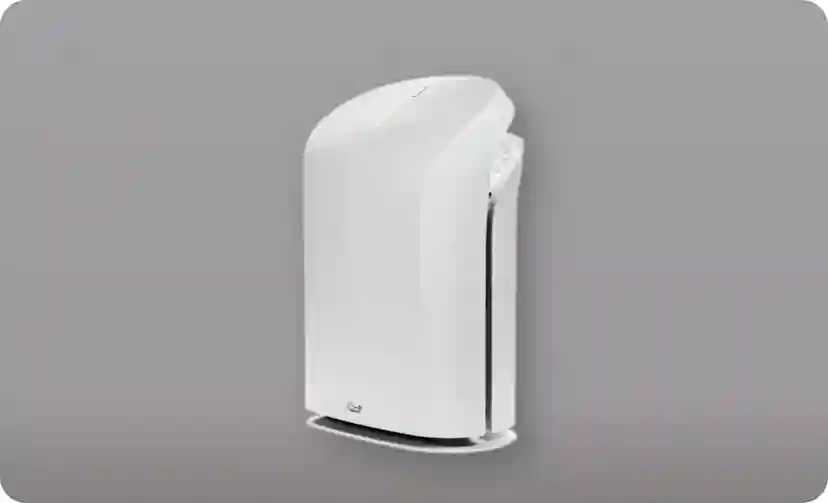 Rabbit Air Review: Premium Air Purification for a Healthier Home