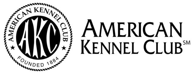 Image Hero Logo