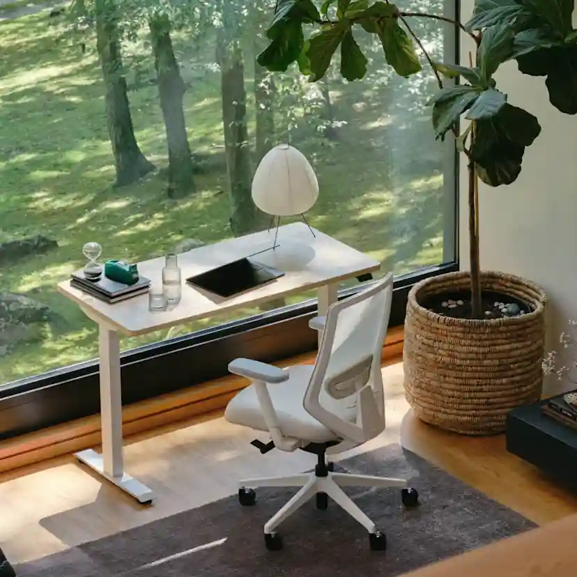 Branch Ergonomic Chair: Expert Review & Analysis