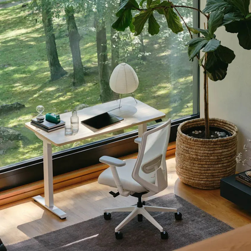 Branch Ergonomic Chair: Expert Review & Analysis