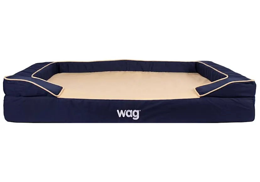 Sealy Lux Orthopedic Dog Bed: 2026 Review & Real-World Take