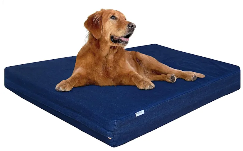 Dogbed4less Premium Memory Foam Dog Bed: Our 2026 Take