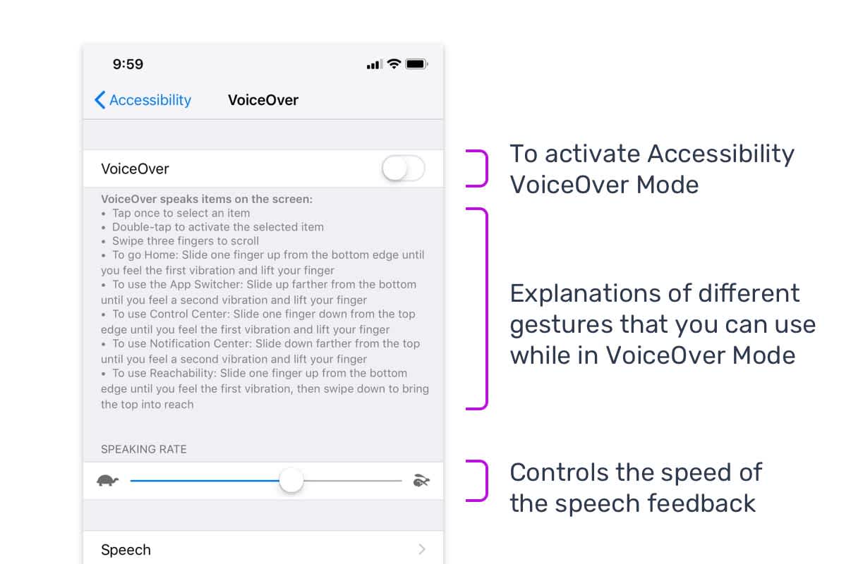 Explanation of iOS VoiceOver settings