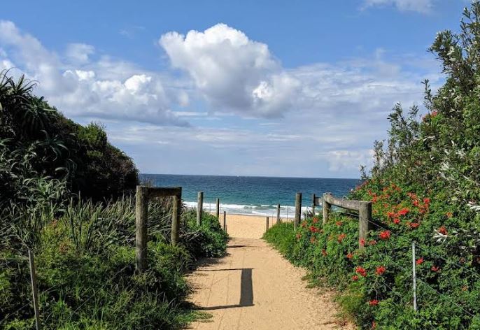 Web Design vs Web Development