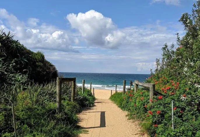 Web Design vs Web Development