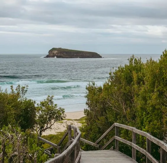 How to Build a Website for Your Central Coast Business