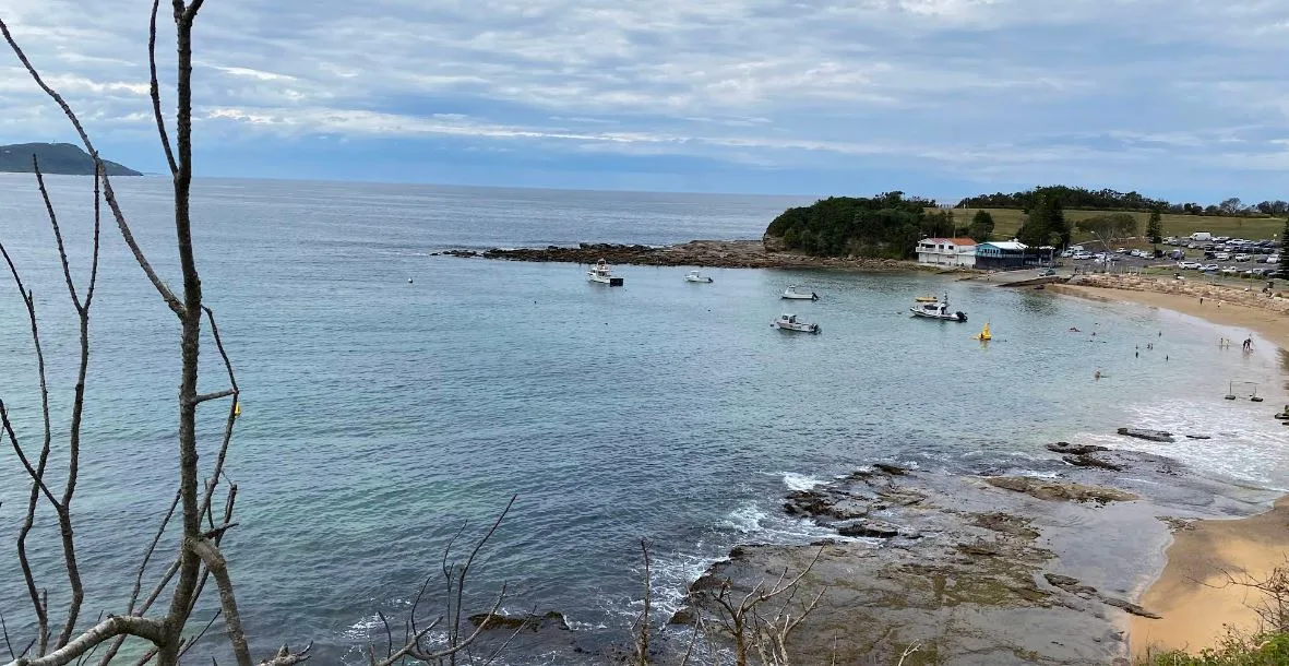 Choosing the Right Domain for Your Central Coast Business