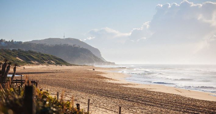 Why Quality Images Matter on Your Website: Insights from a Central Coast Web Designer