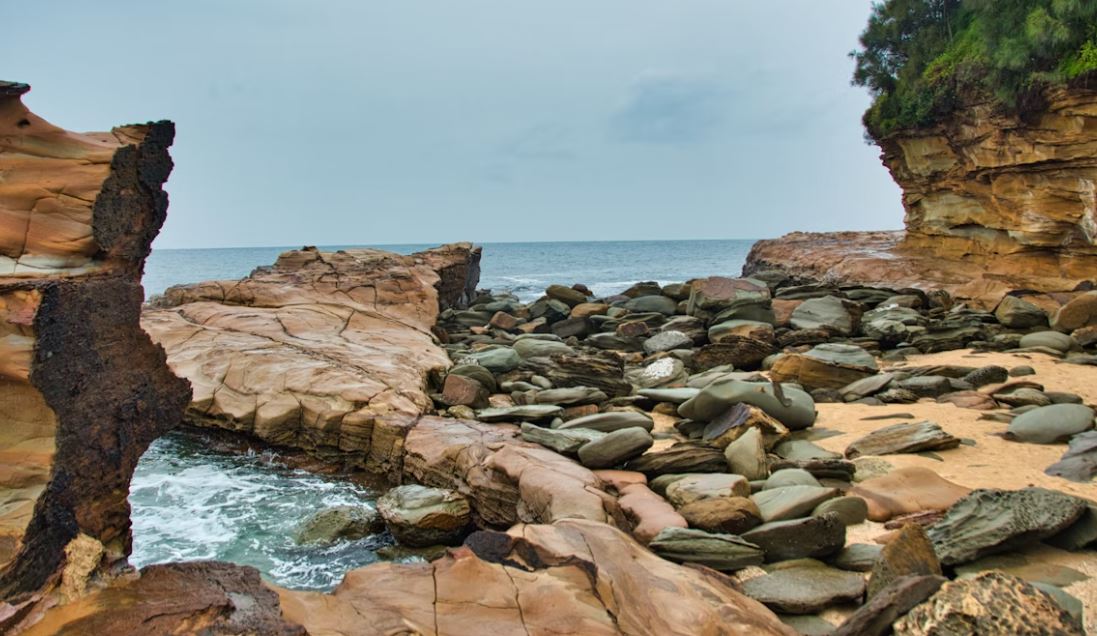 What is Website Hosting?