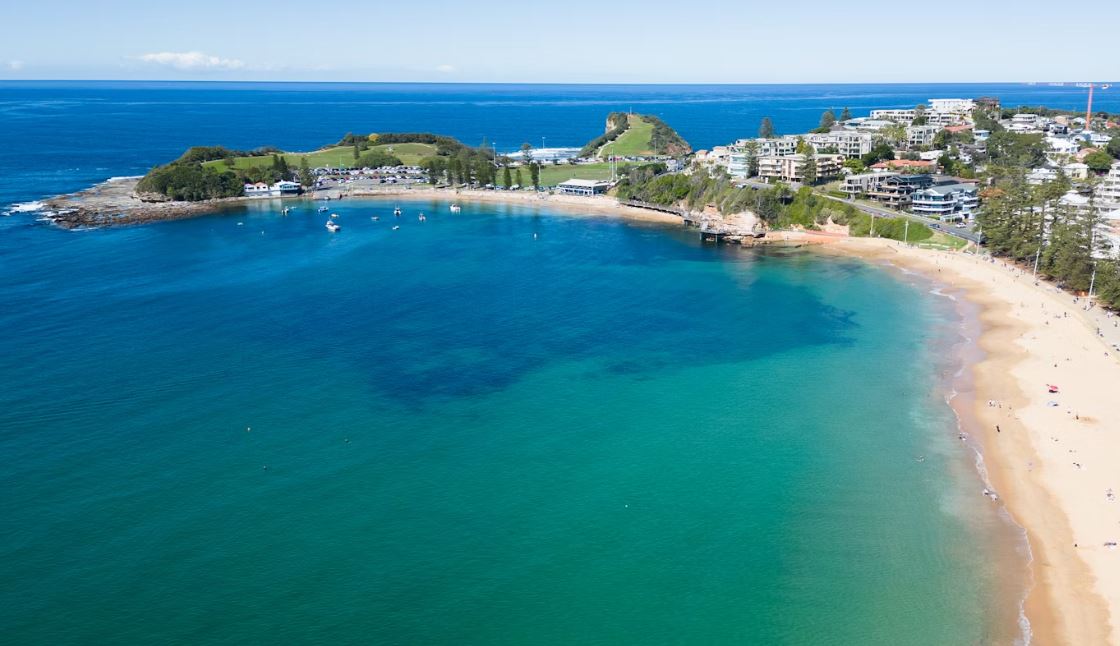 Should I Pay Someone to Design My Website?