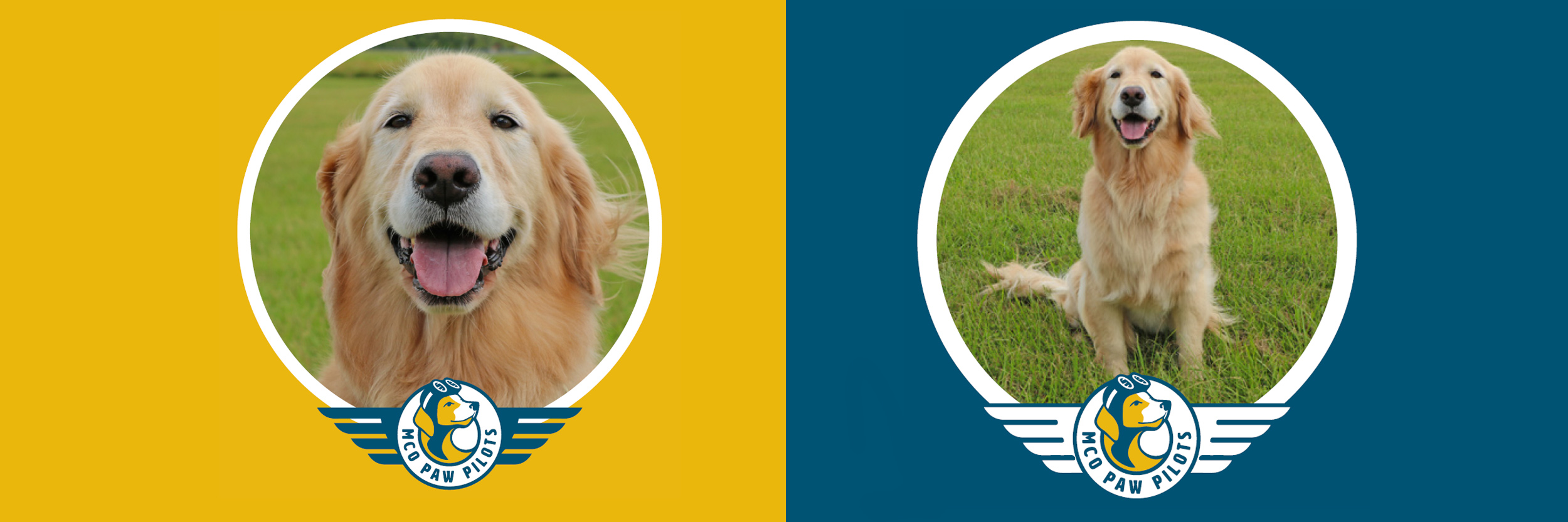 Paw Pilots ANNIE