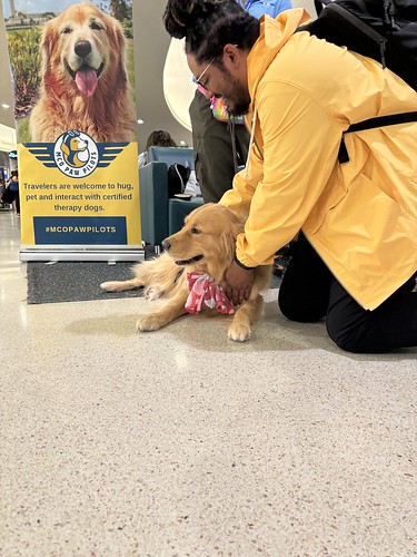 MCO Paw Pilots 2024 dog VICTOR on the floor, being petted by a man with a yellow jacket inside a MCO terminal.
